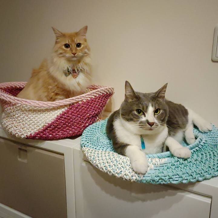 4d356935 7683 4485 9db6 63235516be48 1654867413965