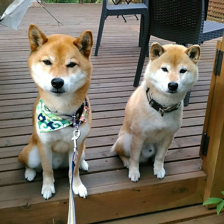 4d358fda 2003 4a51 aad5 8f4eec431969 1559116095758