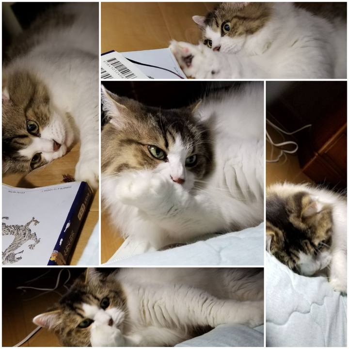 4d359a7e 8309 40c2 bd2b 8b072a5a635b 1598134567962