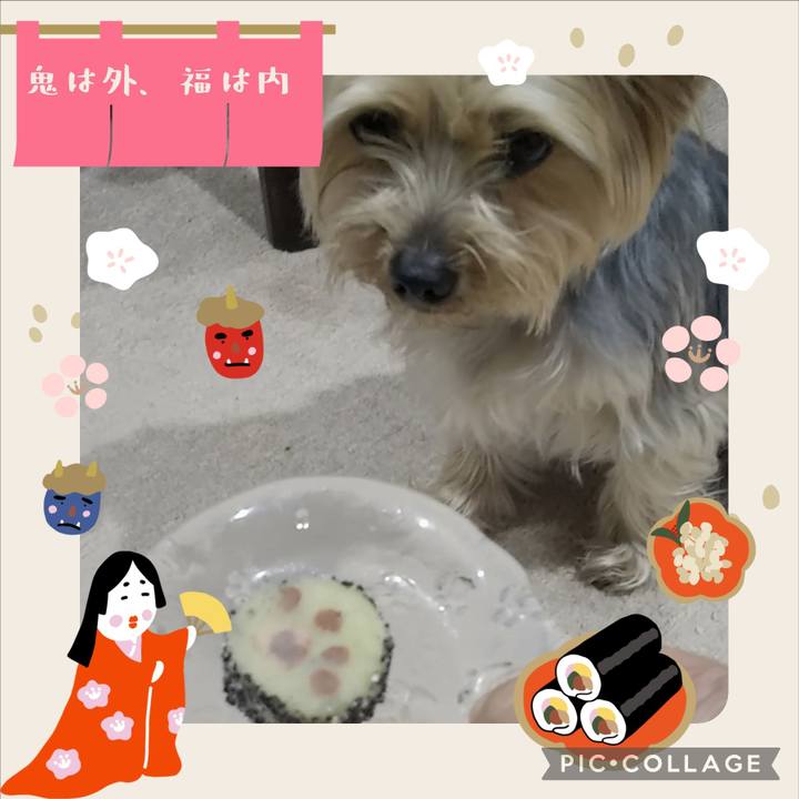 4d359f26 6717 453d 95cf 5978274b56c1 1706958031280