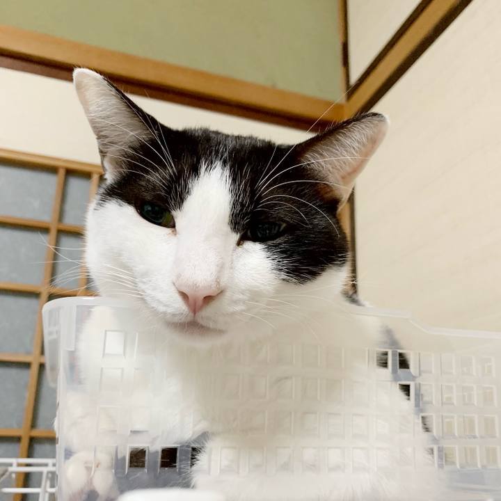 4d35e2a1 e718 4af5 85ba 8fd85b269489 1538446644828