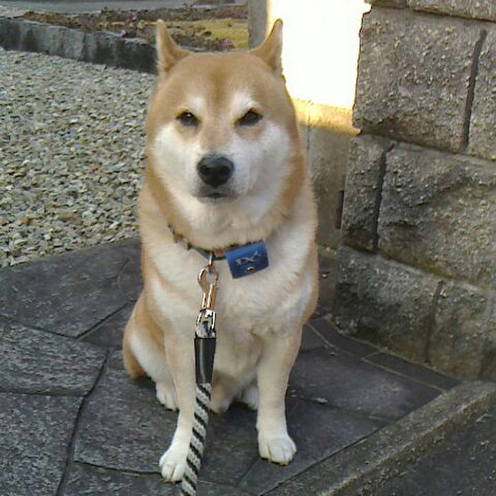 4d35fe30 74a1 4c29 86b1 1abb42979b03 1579599817691