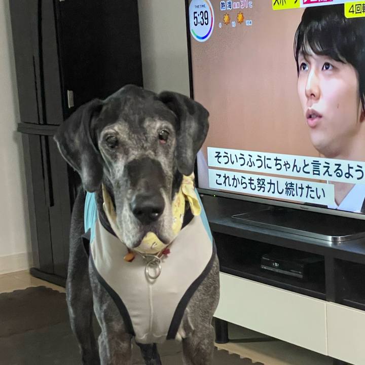 4d36689a 834e 481e 9317 2aa6c3e17a3f 1658263293546