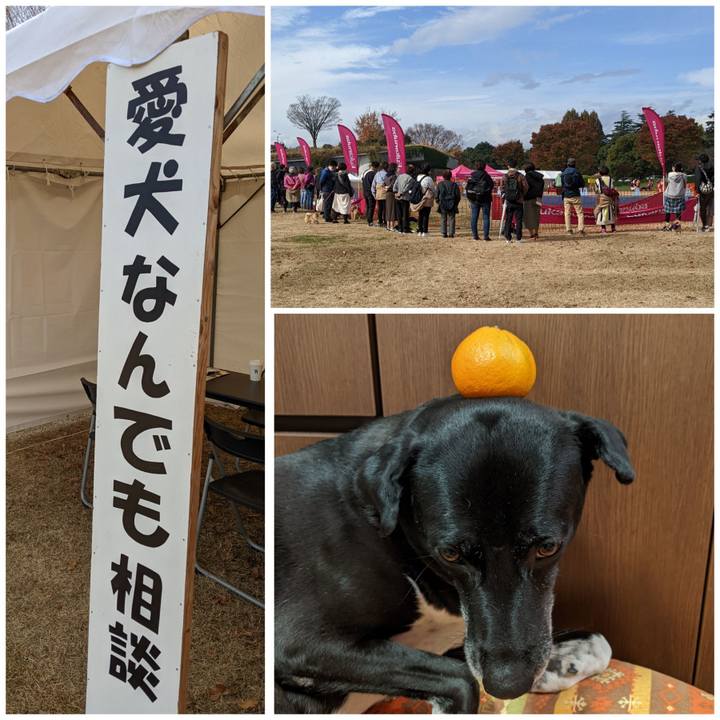 4d36aec0 f284 43ed ad15 167f89352127 1669442545301