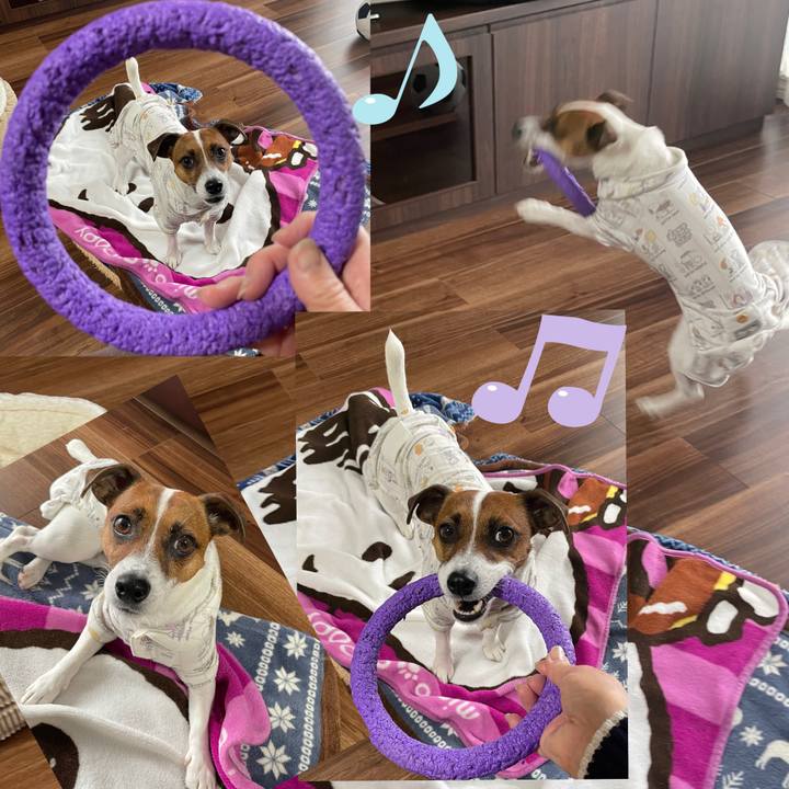 4d36bdb6 b957 418d a3ba 2d22df7b210a 1651392955588