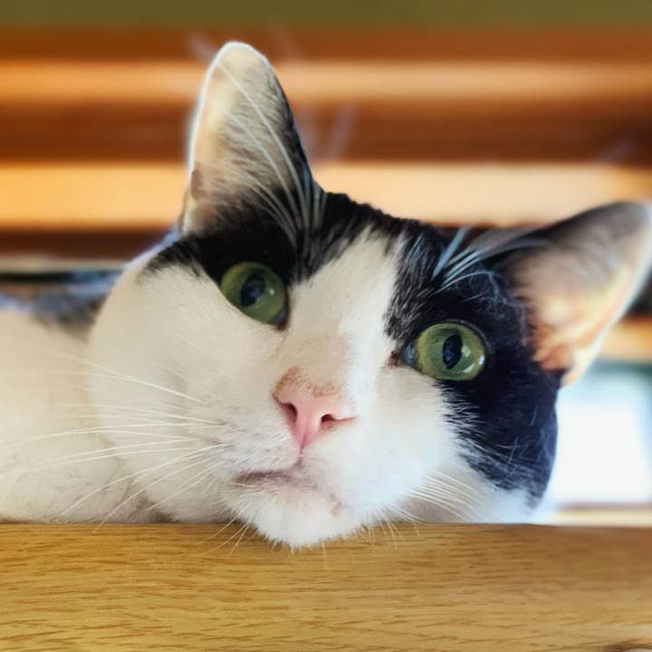 4d36cba9 145e 4508 8163 08a5f553b696 1599528270994