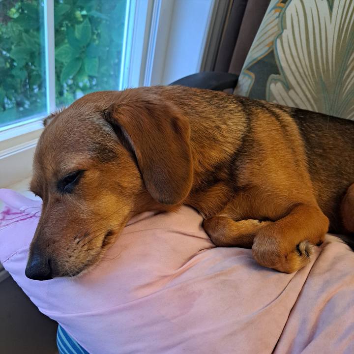 4d373d0e acba 4e2a bbf7 89bbe49e0d19 1759318083603