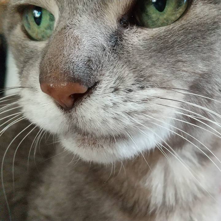 4d37d853 0cbe 46c4 8269 8aea153f1b5a 1699919729722