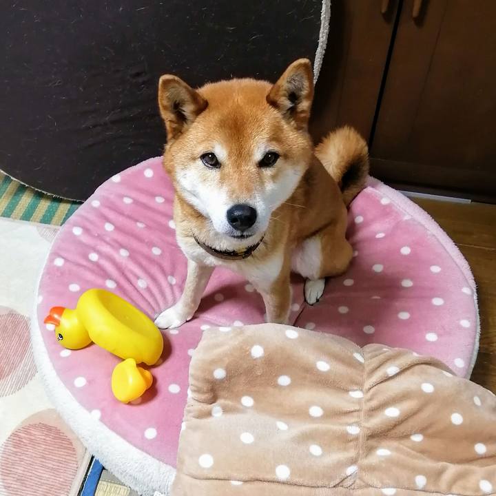 4d37fda4 c17e 43e7 ad4d 59a9b9e378b0 1618830044210