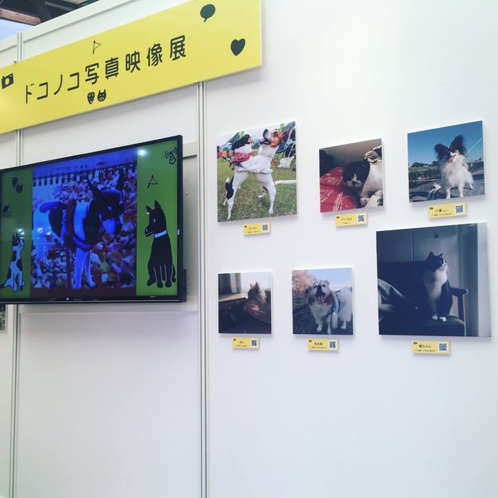 4d381111 5339 4ab2 a0c9 2377df69ca68 1558842195383