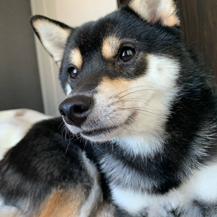 4d38222e f09d 4d7e ab3b ef820ef84698 1637979119954