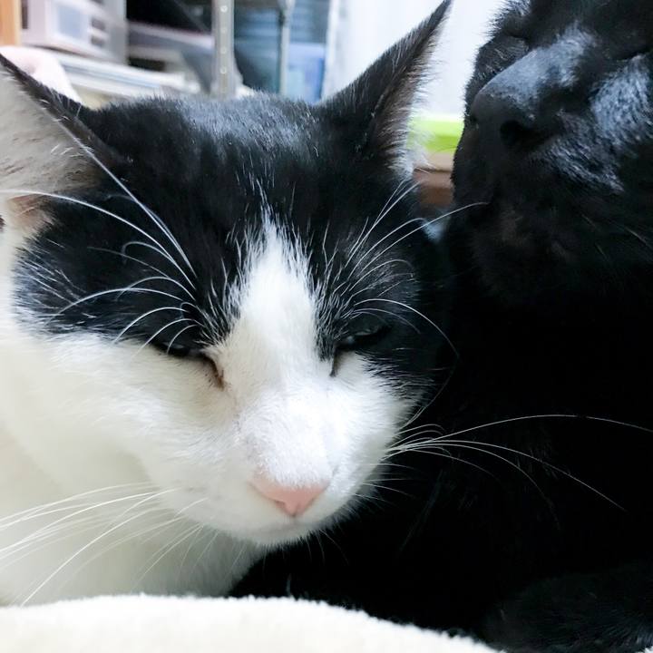 4d3843ec 594c 4184 abdc 7e6d073a0985 1515110906990