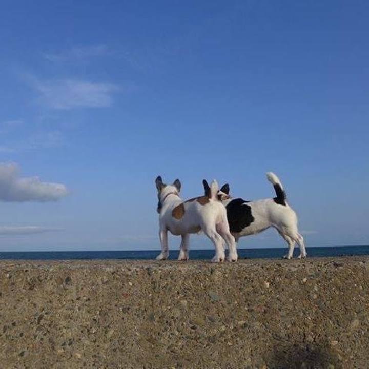 4d386233 5592 4cfb b661 87fad5b71a29 1661994053966