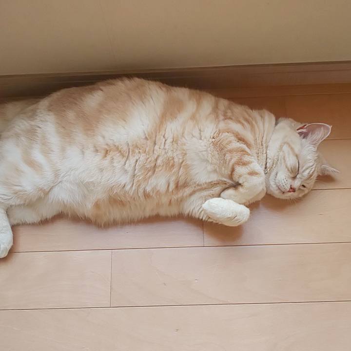 4d3866f2 9b36 47e1 8082 61ea156f7703 1589266137292