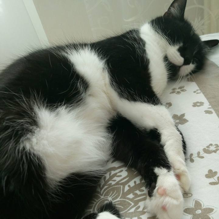 4d386719 85ee 467c 9610 dacb152de5e3 1517648469218