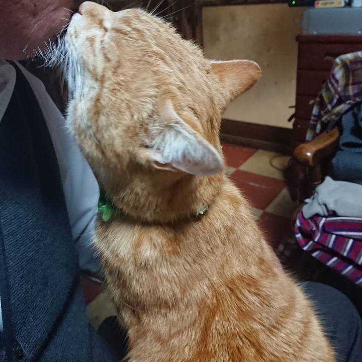 4d388518 0781 479d af57 879107477d03 1585910203590