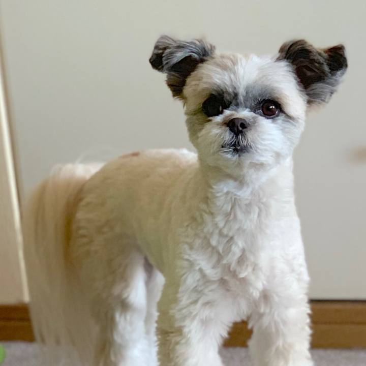 4d389b95 c1d0 4c96 be9a 30f21ce67a20 1548493076937