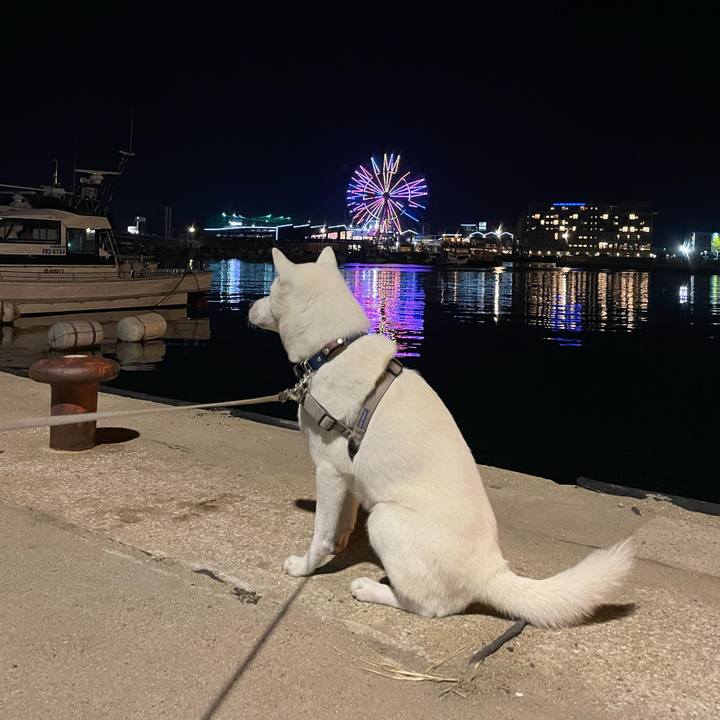 4d38b99f c9b3 4c40 97a3 4d8ce68fd1dd 1699189296062