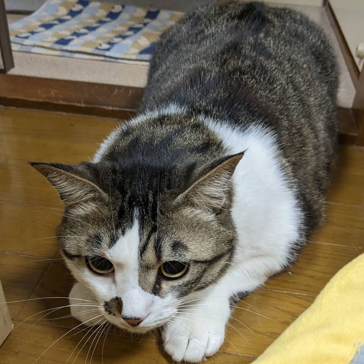 4d38c2d2 d019 47c3 acec f5e5acbc00fe 1676383712589