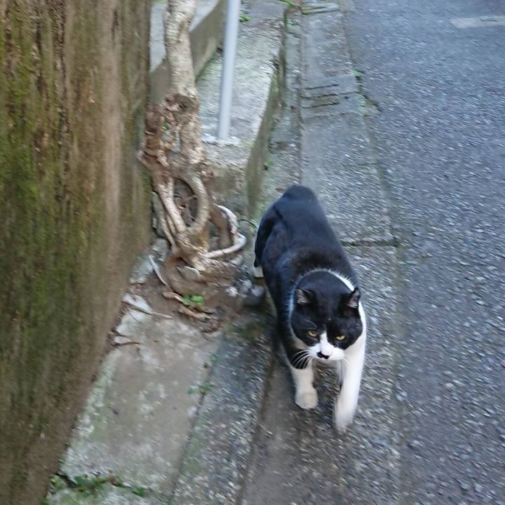 4d38cd9a ff58 49d3 82a7 cdbc12a0f39b 1676505313741