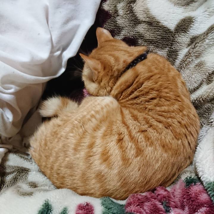 4d38f207 7fbc 4059 b0ab 94d02bc028f8 1642076697926