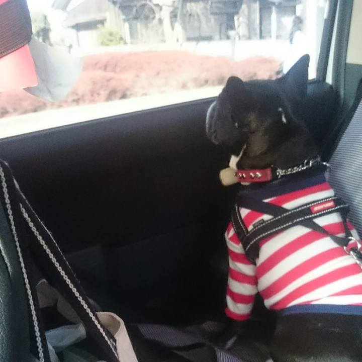 4d390acd b64b 4c71 ba99 bdeb50622cf8 1520162384460