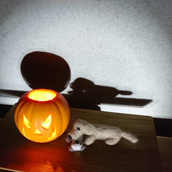 4d390d3d c95b 479f bef9 b3e1321b2937 1571163554483