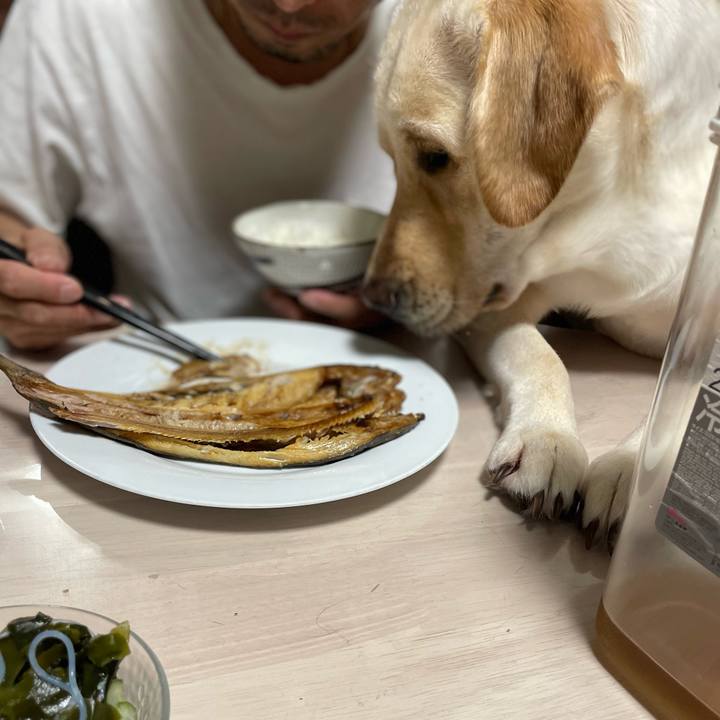 4d391038 6518 4e25 b1f2 3cdf5cf7ef74 1692430002663