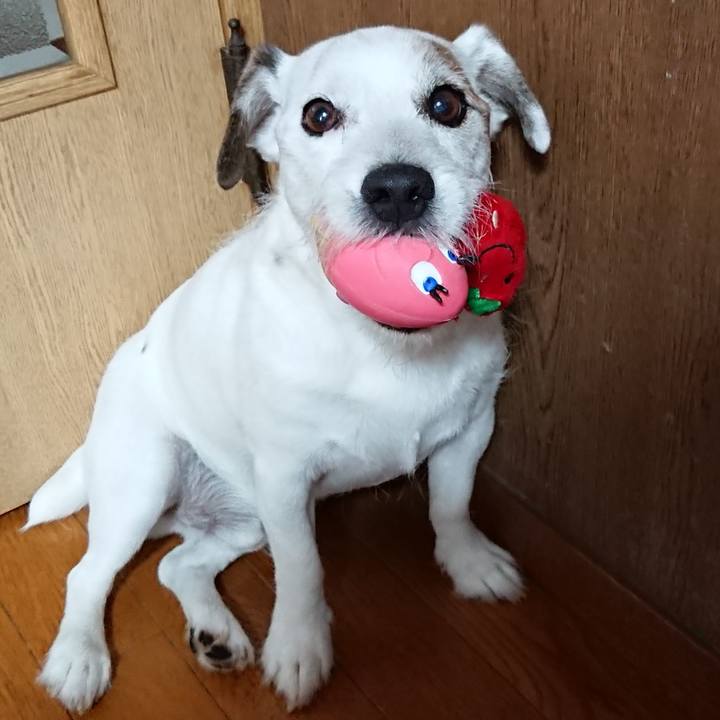 4d39952a de85 4507 ad58 a61153b1b6ba 1572651154767