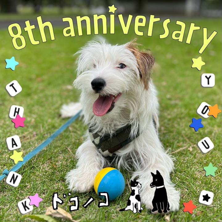 4d39dc91 004f 4501 9705 c22b01359a18 1717599153789