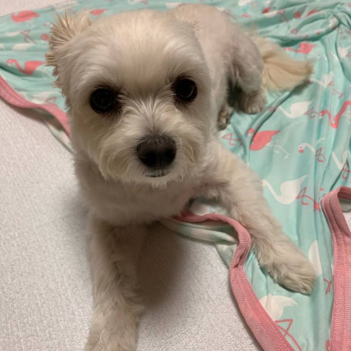 4d39fdff a8f5 4f8a 8706 ad38663cc4ca 1569234088417