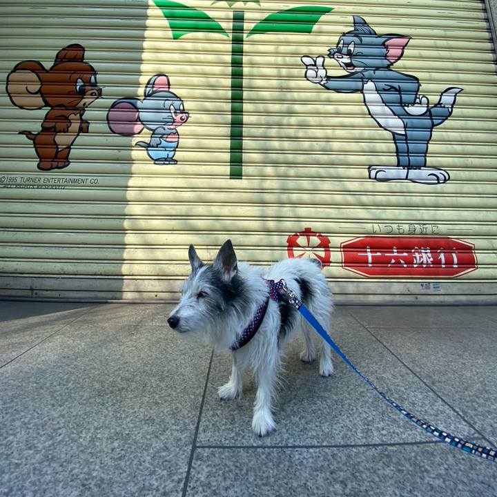 4d39fe28 49f8 4598 82a9 a92e8ac499b4 1613215358064