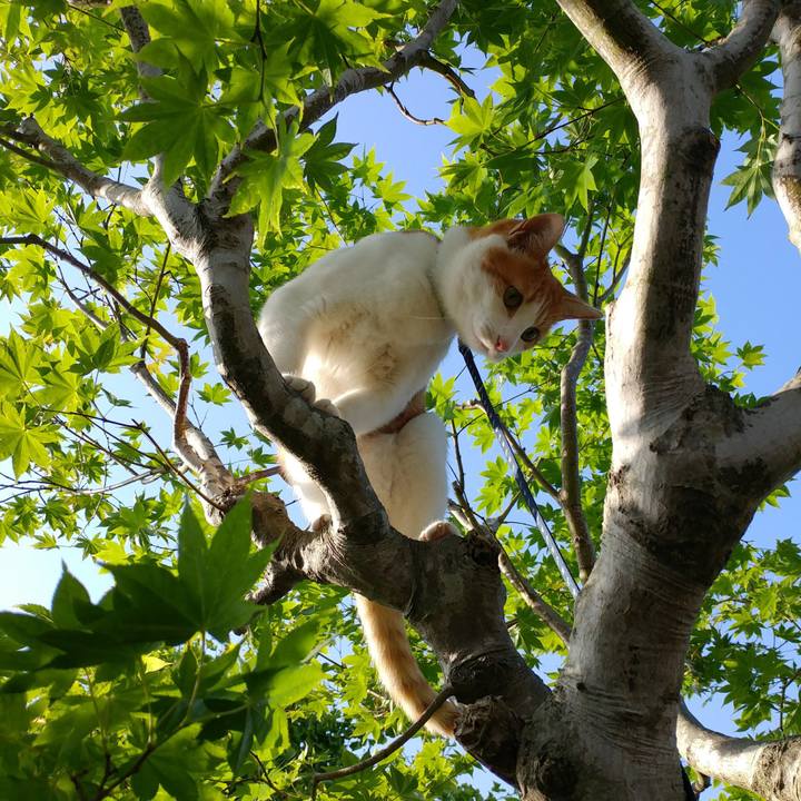 4d3a0668 1adf 4298 8e8e d4544b2f4d94 1527329096943