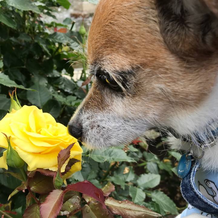 4d3a4c49 a05b 427a 9689 ddaeb7d9cc96 1591497731393