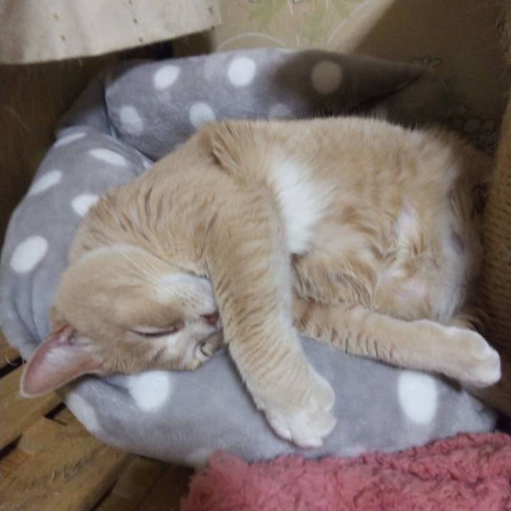 4d3a5245 8a65 4529 93f7 e51e5917e523 1550825528118