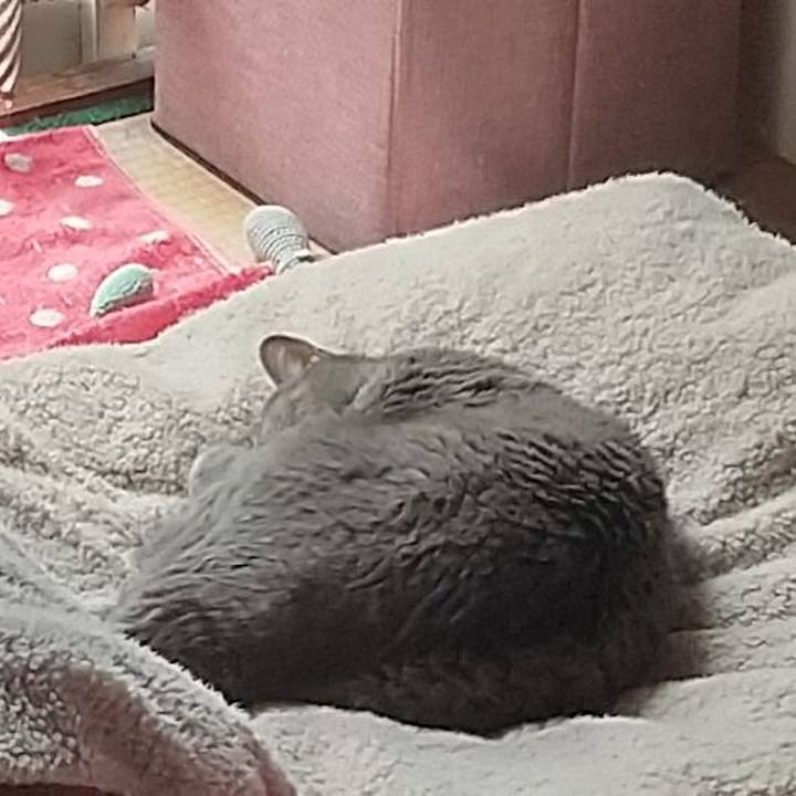 4d3a9054 a2ec 4868 902a 7833c0e794b2 1682301360875