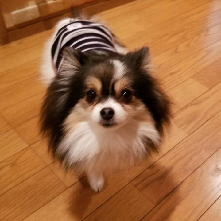 4d3aad04 6a71 4fb0 bdc5 64af7b4dbd9f 1551956096294