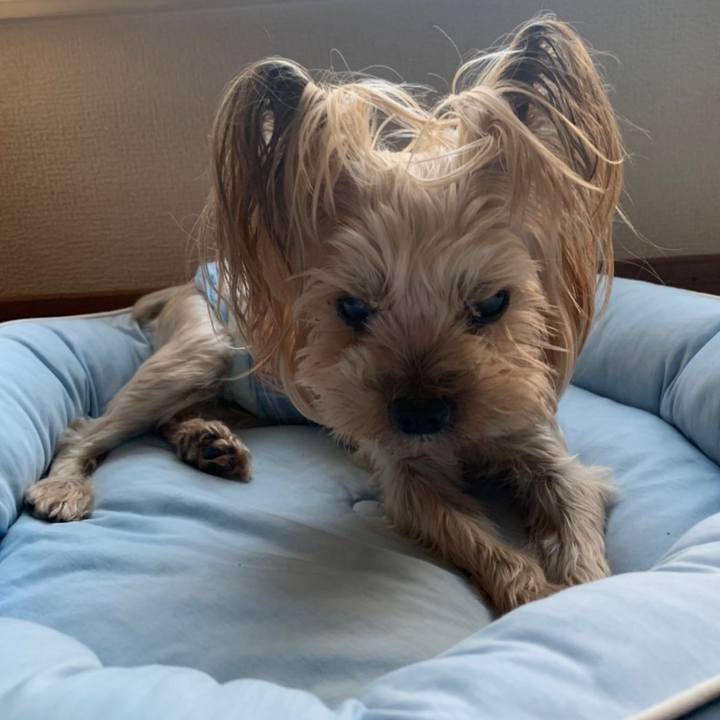 4d3ab492 8bcc 4933 bb71 a7b29f4c90c8 1663063633674