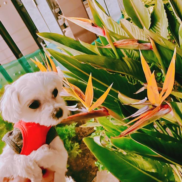 4d3aeebc 7d0c 445e bfb1 7bb74aa33108 1650001682168