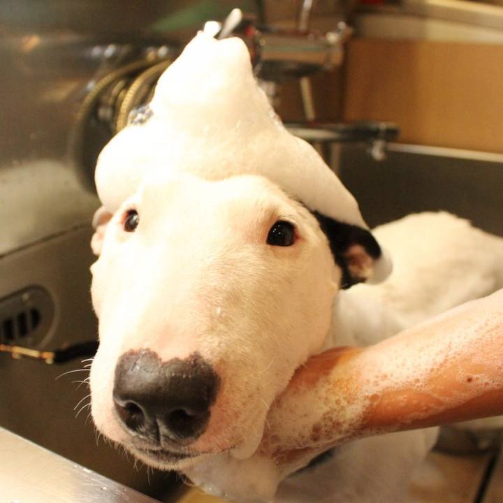 4d3af159 eb10 4fff af10 956ec483aa14 1516360284635