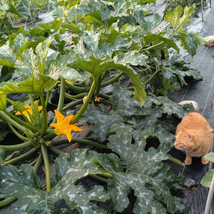 4d3afebf 77a5 4fd4 ab6a a0e53cb2f477 1718413027759