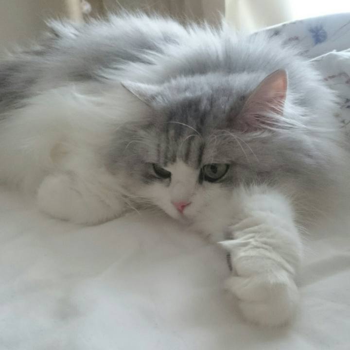 4d3b0d98 1479 4cba ac5e 2dccfbdcff12 1529241107010