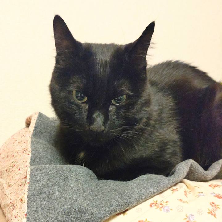 4d3b78fe fa99 4bd4 b4e3 99e4734d1458 1710756257198