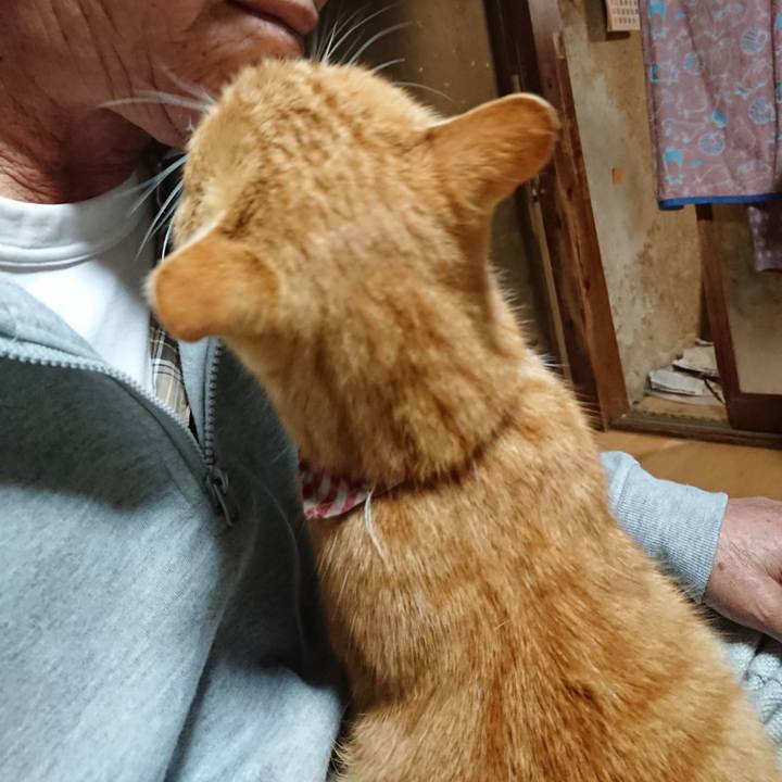 4d3b9b12 4dae 4384 bfbb 64202f9f7bdd 1605729381830