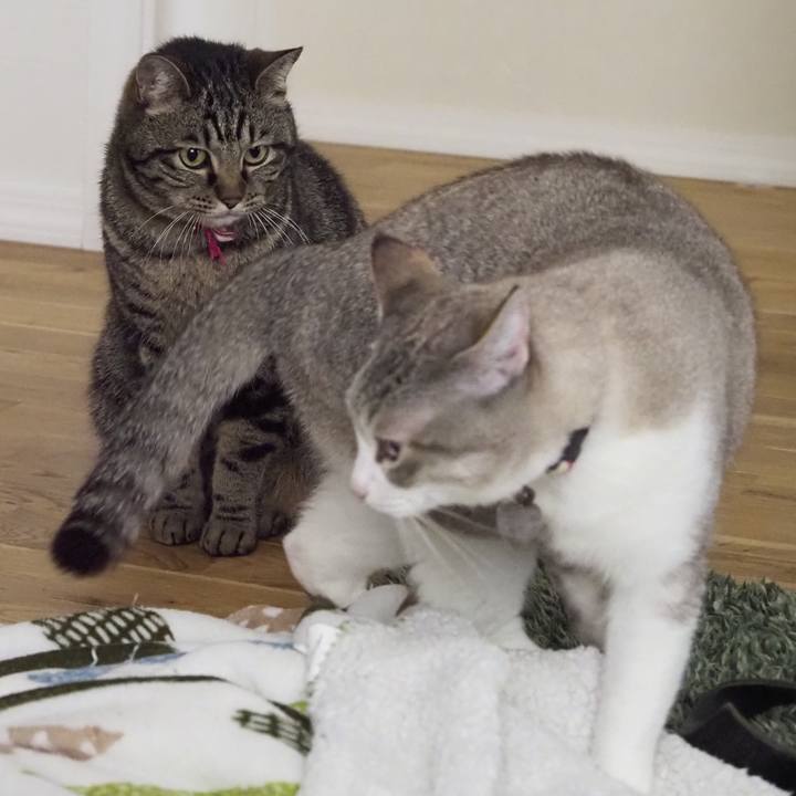 4d3be08c 6afd 43ff a4d0 8be0f40acfe4 1620017743649