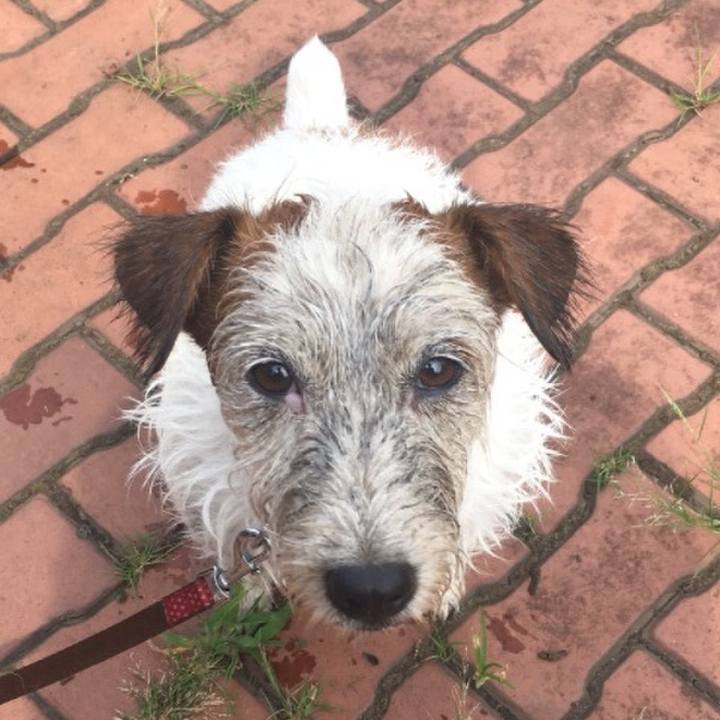 4d3c087f 1ba4 47eb b1a5 a9399ba11bdf 1535317932093