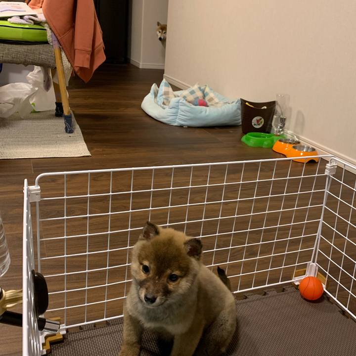 4d3c5830 5e2b 4aa4 8955 989468947b2f 1615695869788