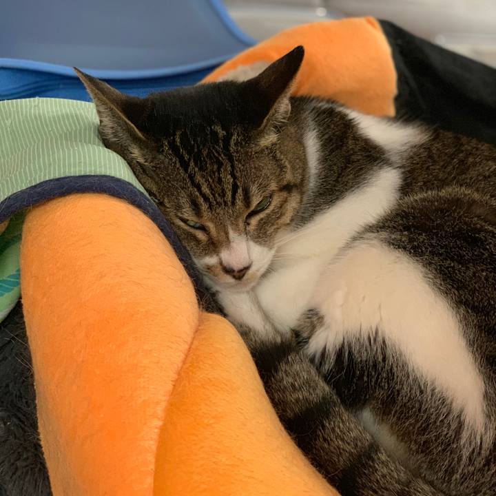 4d3ca9c5 cd17 4f21 afa3 eff56dc0118e 1569979628474