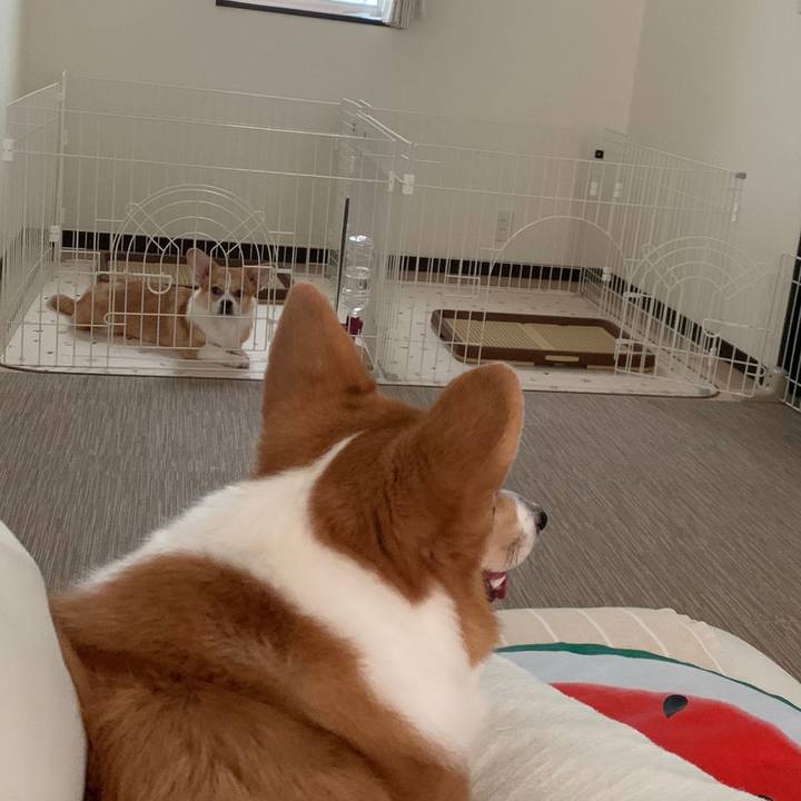 4d3cb265 b3c7 4a58 b6d8 e907ddabf655 1570427281057