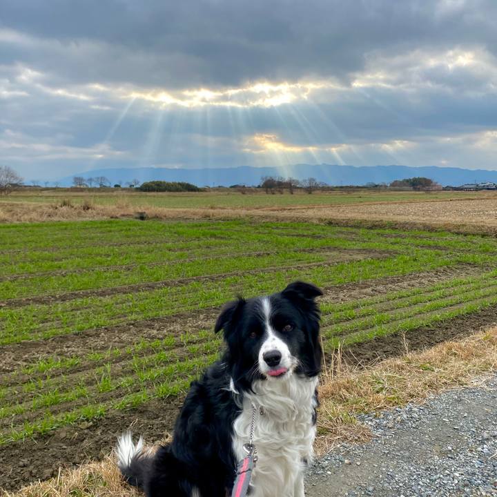 4d3ccbef ee20 4864 acfd ddd6fa8accb6 1642468088742